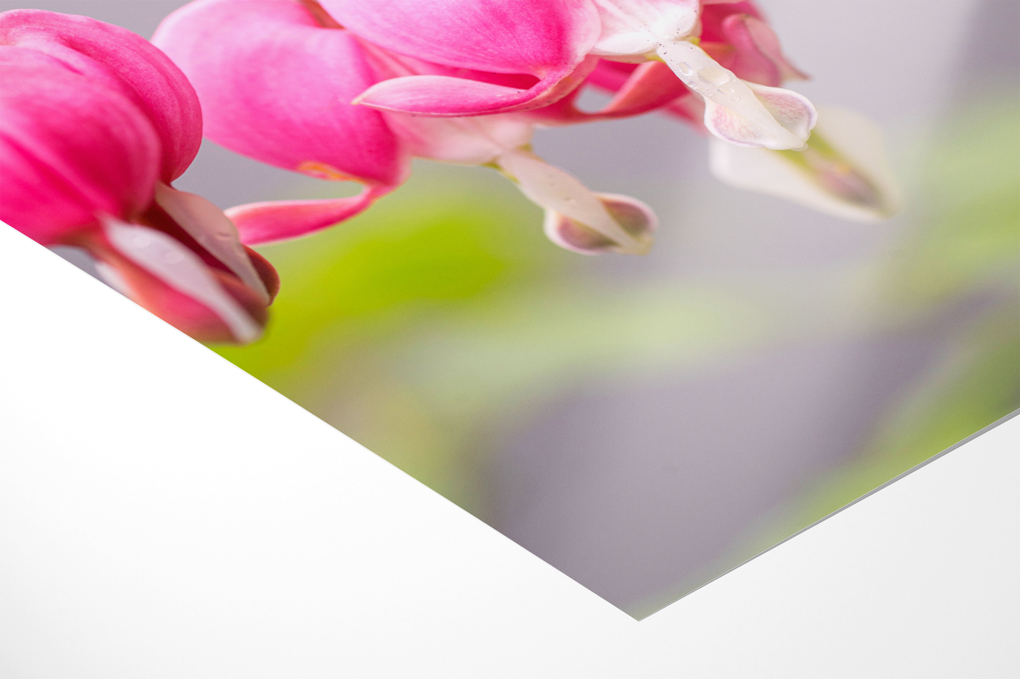 Tränendes Herz | Floraler Kunstdruck